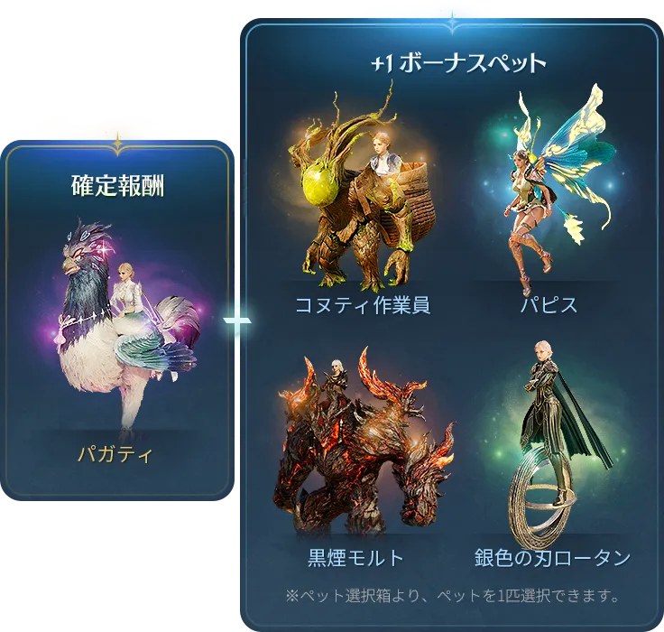 確定報酬 +1ボーナスペット